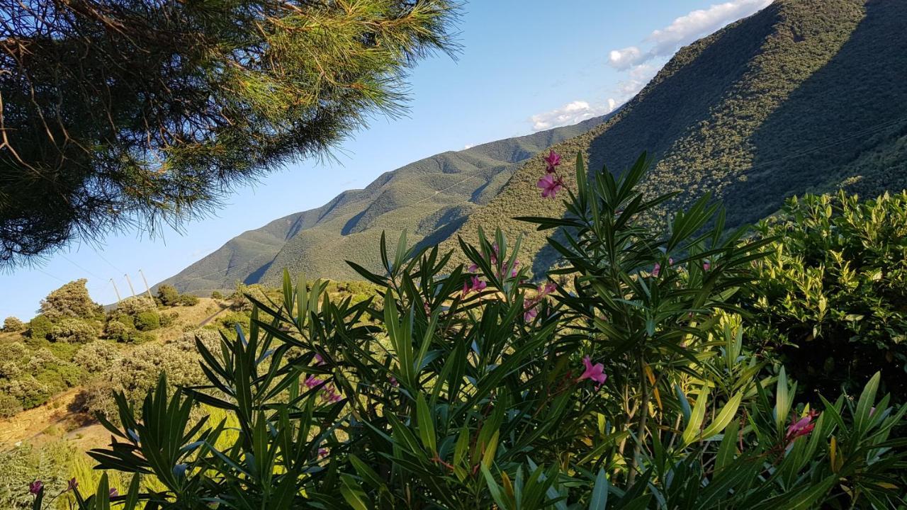 Gites-Terroirs-Occitanie Felluns Exteriér fotografie