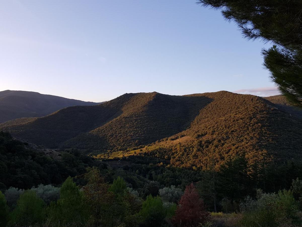 Gites-Terroirs-Occitanie Felluns Exteriér fotografie